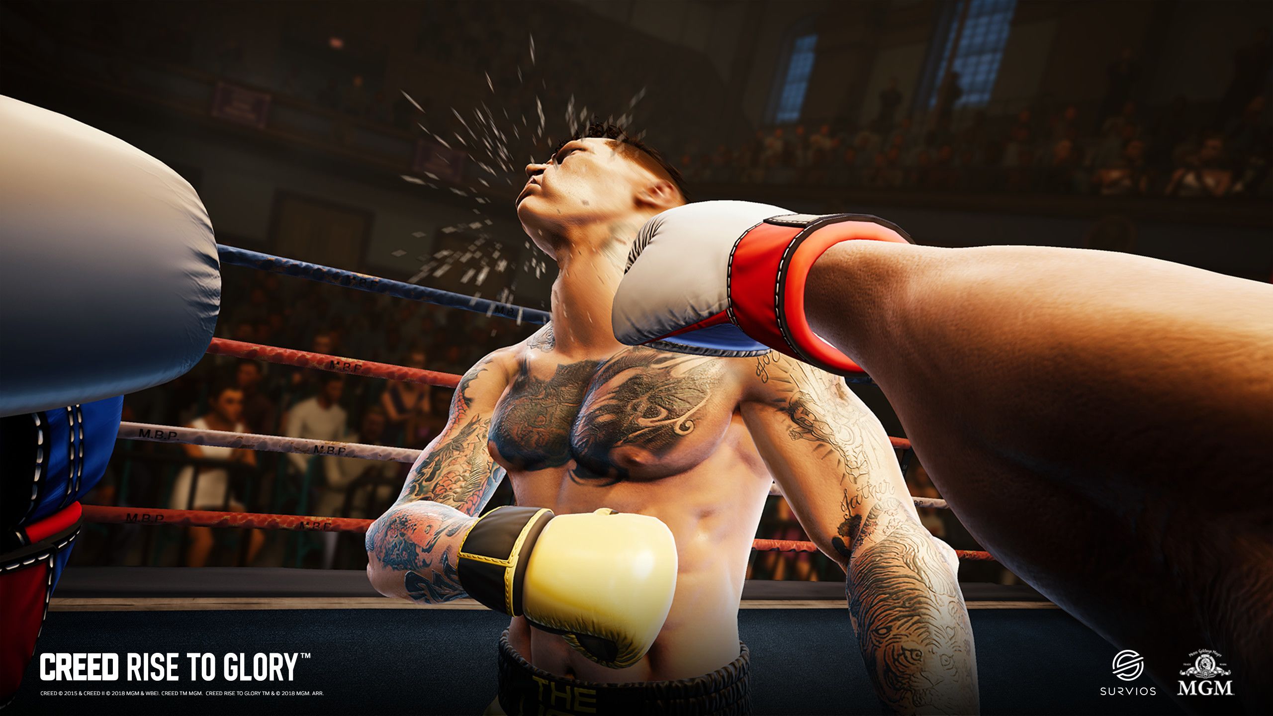 Creed: Rise to Glory VR (PC) - Steam Key - GLOBAL - Screenshot 1