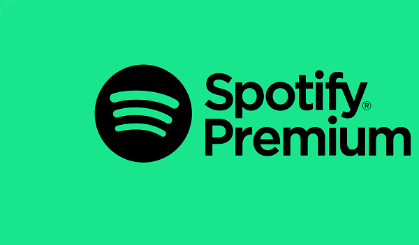 Spotify Premium Subscription Card 3 Months - Spotify Key - FRANCE - Screenshot 1