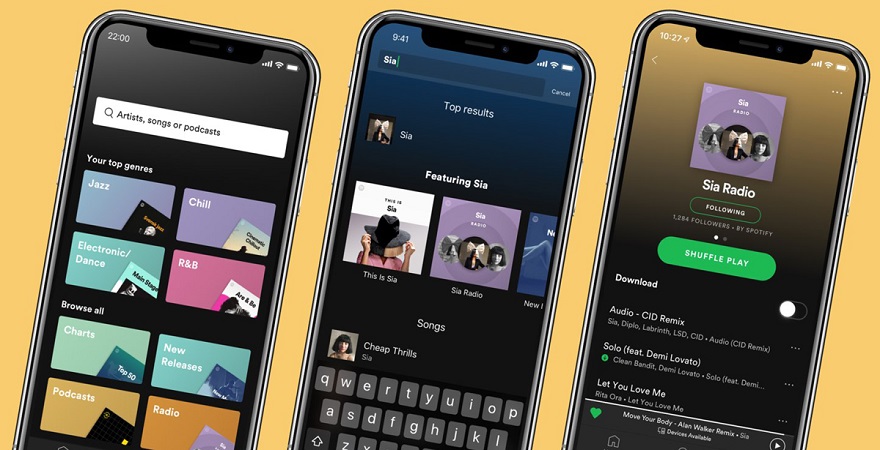Spotify Premium Subscription Card 4 Months - Spotify Account - GLOBAL - Screenshot 1